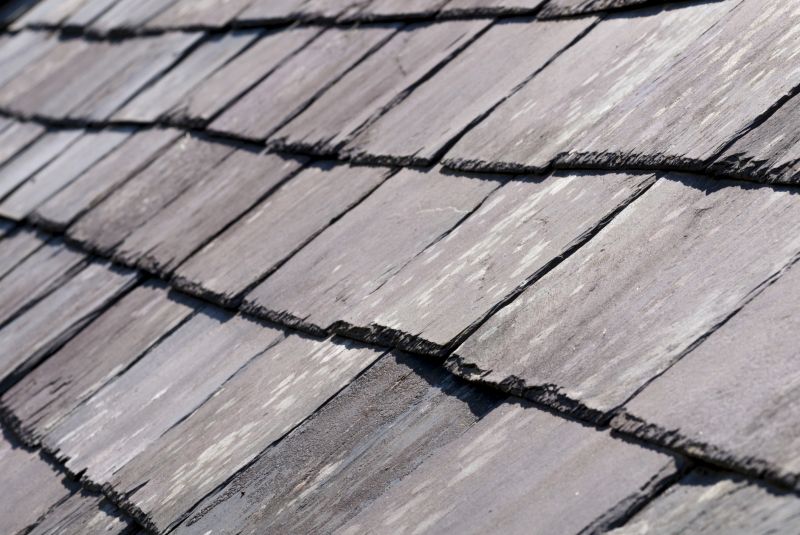 Slate Roofing Service detail