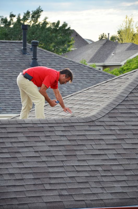 Roof Inspection Professionals